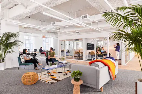 Serviced Offices vs. Coworking Spaces