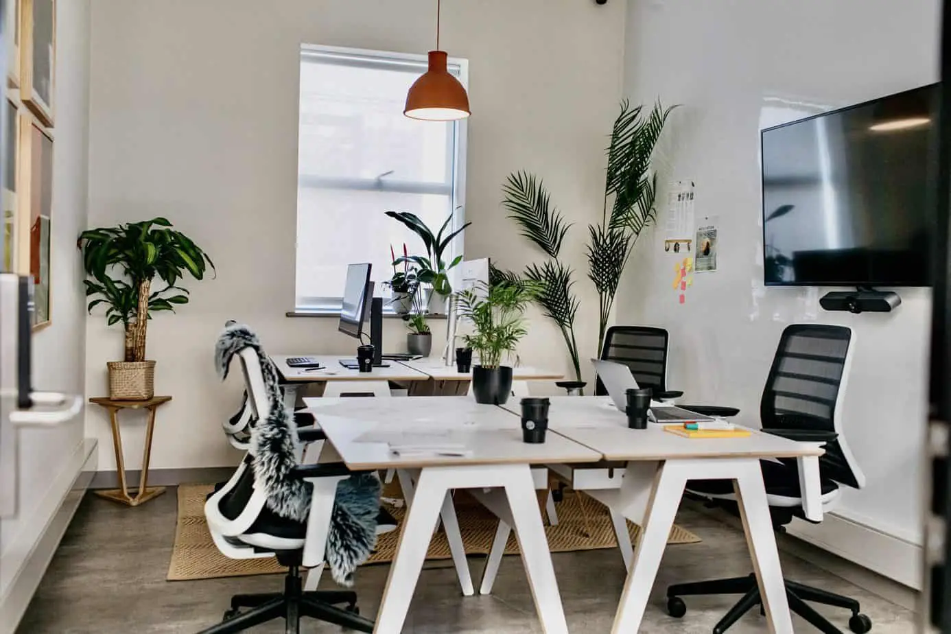 How Coworking Can Be A Healthier Work Environment For Startups